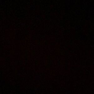 Meet your Posher, Leilani